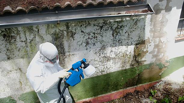 Top rated local Mold Remediation specialists in Evans, CO